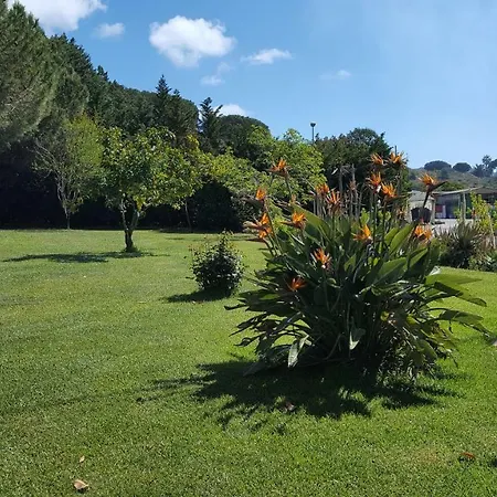 Rebua פורטו אזורו